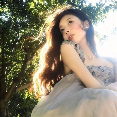 来自收容所的爱