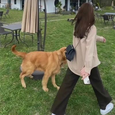 信心主宰